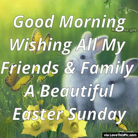 Good Morning Wishing All My Friends And Family A Beautiful Easter Sunday Easter Sunday Morning Quotes, Good Morning Happy Easter Sunday, Easter Sunday Quotes Beautiful, Happy Easter Wishes Beautiful, Happy Easter Quotes Friends, Good Morning Easter Sunday, Easter Sunday Pictures, Happy Easter Sunday Images, Easter Sunday Wishes