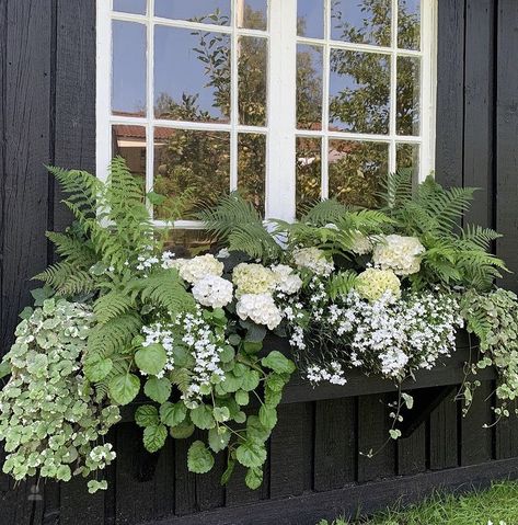 Potted Garden, Planter Garden, Window Box Flowers, October 5th, Flowers And Greenery, Backyard Gazebo, Container Gardening Flowers, Flower Pots Outdoor, Moon Garden