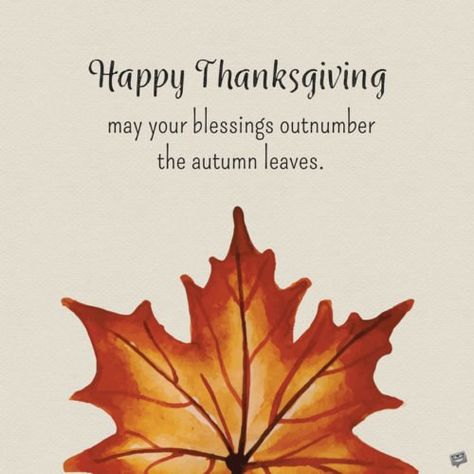 Happy Thanksgiving Wallpaper, Fall Greetings, Letterboard Ideas, Happy Thanksgiving Pictures, Happy Thanksgiving Images, Thanksgiving Stories, Words Of Gratitude, Thanksgiving Messages, Missing Quotes