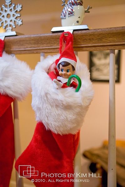 Elf Delivery, Tree Props, Green Candy Canes, Stocking Ideas, Awesome Elf On The Shelf Ideas, Xmas Elf, Elf Antics, Elf Fun, Elf Clothes