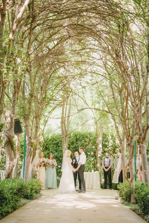 Fairytale wedding venue in Southern California. Ceremony tree arches at Hartley Botanica in Somis, CA. A great place to get married in Ventura County! Hartley Botanica, Wedding Magical, Fairytale Garden, Romantic Wedding Receptions, Garden Ceremony, Southern California Wedding Venues, Garden Weddings, Garden Wedding Venue, California Wedding Venues