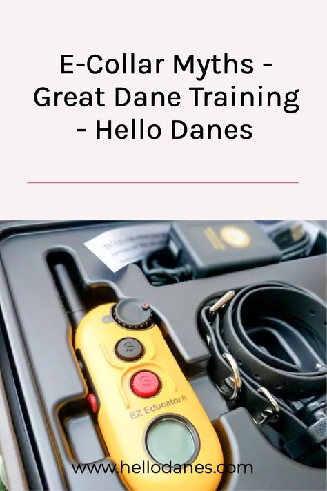 Many people view E-Collars (sometimes called ‘shock collars) as an ‘Easy button’ meant to startle and punish a dog that is acting out.This mentality is unfortunately what gives E-Collars a BAD name!Today we are dispelling some common MYTHS about E-Collars and E-Collar training, so that you can make an informed decision! Puppy Training Tricks, Leash Training Puppy, Puppy Aesthetic, Puppy Training Treats, Puppy Training Schedule, Puppy Tips, Crate Training Puppy, Best Treats For Dogs, Dog Breeders