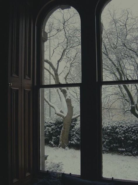 Paradis Sombre, Visual Story, Dark Christmas, I Love Winter, Winter Scenery, Dark Academia Aesthetic, The Secret History, Academia Aesthetic, Winter Aesthetic