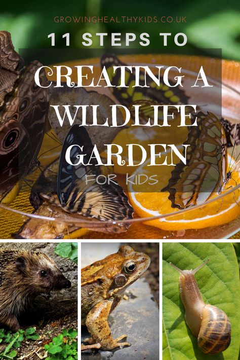 11 STEPS TO CREATING A WILDLIFE GARDEN WITH KIDS With Spring coming, bringing lighter days (finally) I bet you're wondering how you're going to keep your kids entertained? Why not try attracting wildlife to your garden? This can be a year round activity the kids can come back to over and over as the seasons change Wildlife Habitat Projects, Animal Friendly Garden, Nature Garden Ideas, Wildlife Projects, Garden For Kids, Spring Coming, Wildlife Garden, Natural Playground, 5 De Mayo