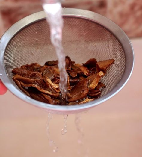 How To Prepare Dried Mushrooms for Cooking — Cooking Lessons from The Kitchn | The Kitchn Dry Mushroom Recipes, Moral Mushrooms, Measure Spoon, Dried Porcini Mushrooms, Dry Mixes, Shitake Mushroom, Mushroom Dish, Be Weird, Shiitake Mushrooms