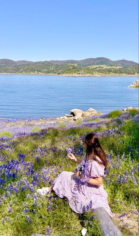 Auburn California, Folsom Lake, Beautiful Moments, Auburn, Grand Canyon, Lake, California, Natural Landmarks, In This Moment