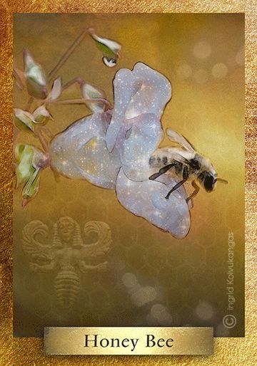 Oracle Meaning, Bee Spirit Animal, The Mayans, Environmental Artist, Bee Goddess, Animal Spirit Guides, Animal Medicine, Ancient Near East, Bee's Knees