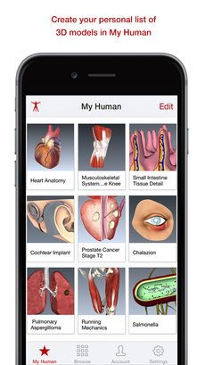 BioDigital 3D Human Anatomy on the App Store Intestines Anatomy, Anatomy App, Running Mechanics, 3d Anatomy, App Interface, Educational Apps, Human Anatomy, App Store, Anatomy