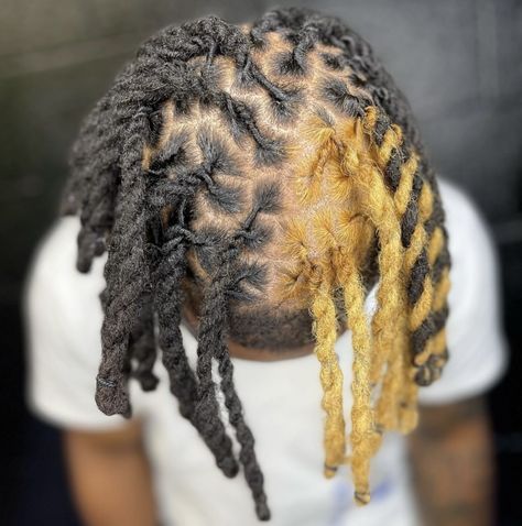 Reverse Dye Dreads, Color Dreads Black Man, Dyed Dreads Men Tips, Dread Braids Men, Men’s Dyed Locs, Men’s Dyed Dreads, Locks Hairstyle, Skunk Stripe Hair, Cabelo Black