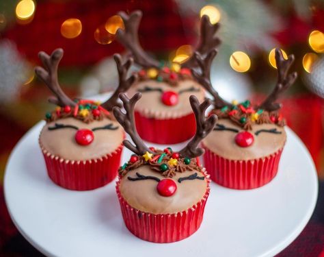 Reindeer Cupcakes Christmas, Rudolf Cupcakes, Rudolph Cupcakes, Rudolph Cake, Reindeer Cupcakes, Winter Wonderland Cake, Christmas Cupcakes Decoration, Funfetti Cupcakes, Pastry Design