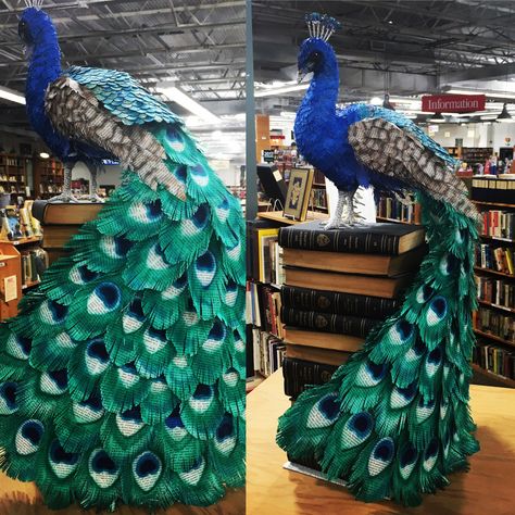 Peacock Book Art at Half Price Books in Dallas Tx kikididitdesign.com Handmade Peacock Decoration, Paper Mache Peacock, Diy Wall Canvas, Diy Canvas Art Ideas, Diy Canvas Painting Ideas, Peacock Decoration, Peacock Sculpture, Diy Canvas Painting, Canvas Art Ideas