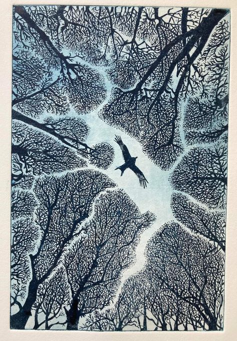 Janis Goodman, etching Forest Ecosystem Drawing, Janis Goodman, Linocut Landscape, Tree Illustration Art, Woodcut Design, Etching Illustration, Etching Printmaking, Etching Art, Engraving Illustration