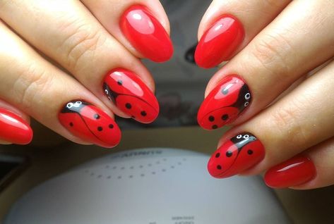 Ladybug Nail Art, Ladybug Nails, Unghie Nail Art, Animal Nails, Red Nail Designs, Animal Print Nails, Manicure Y Pedicure, Fabulous Nails, Nail Art Hacks