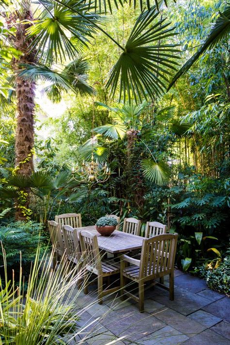 Paradise Garden Ideas, Tropical Oasis Backyard, Backyard Tropical Oasis Ideas, Tropical Farm, Tropical Hideaway, Tropical Backyard Landscaping, Tropical Landscape Design, Tropical Garden Design, Jungle Gardens