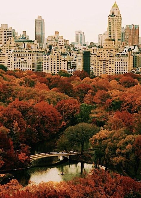 And All Shall Be Well New York Fall Aesthetic, Hygge Autumn, Nyc Dream, New England Aesthetic, Studera Motivation, Nyc Fall, Fall Mood Board, Fall Stuff, Autumn In New York