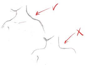 How to Draw Manga Bodies (Part 1) | Welcome to How to Draw Manga — Manga University Shoulders Drawing Tutorial, How To Draw Manga Anatomy, How To Draw Neck And Shoulders Female, How To Draw Anime Shoulders, Female Shoulder Drawing, Shoulder Drawing Tutorial, How To Draw Shoulders Female, Drawing Shoulders Female, How To Draw Neck