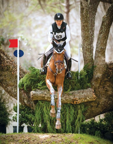 Eventing Aesthetic, Equestrian Memes, Cross Country Training, Horse Background, Cross Country Jumps, Horse Competition, Show Jumping Horses, Saddle Rack, Equestrian Aesthetic