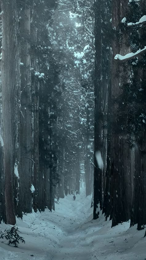 Japan Lockscreen, Winter Forest Wallpaper, Japan Winter, Japanese Mountains, Winter Background, Phone Inspiration, Forest Wallpaper, Winter Wallpaper, Art Wallpaper Iphone