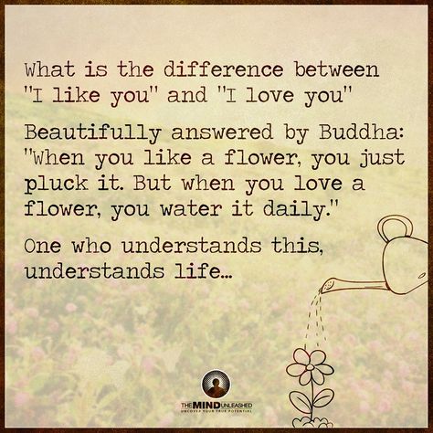 What is the difference between "I like you" and "I love you"?  Beautifully answered by Buddha: "When you like a flower, you just pluck it.  But when you love a flower, you water it daily."  One who understand this, understands life. Life Quotes Love, Buddha Quotes, Sassy Quotes, I Like You, When You Love, About Love, A Quote, Great Quotes, Beautiful Words