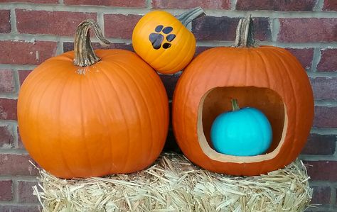 Pregnancy and gender announcement with pumpkins for fall. Including dog! Dog Involved Gender Reveal, Dog Pregnancy, Gender Announcement, Dog Pregnancy Announcement, Gender Announcements, Pregnant Dog, Pregnancy Announcements, Future Family, Baby Things