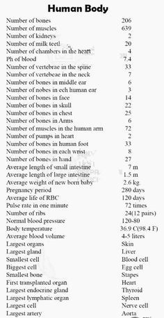 Biology Human Body Anatomy, Medical Knowledge Tips, Anatomy Of The Human Body Biology, Human Body Knowledge, Basic Doctor Knowledge, Basics Of Biology, Biology Basic Knowledge, General Knowledge Science, How To Learn Long Answers Like A Pro