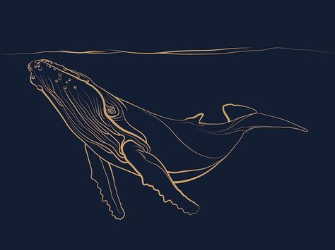 Blue whale design by Natacha De Greef Luxury Wallpaper Texture Seamless, Blue Whale Drawing, Whale Artwork, Whale Drawing, Whale Wall Art, Whale Painting, Art Deco Paintings, Whale Tattoos, Whale Design