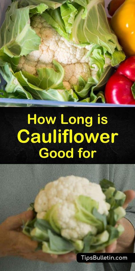 Freeze Cauliflower, Cooked Cauliflower, Fruit And Vegetable Wash, Cheesy Appetizer, Raw Cauliflower, Head Of Cauliflower, Steam Cooking, Long Term Storage, Types Of Vegetables