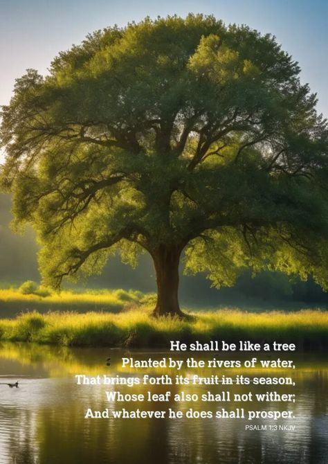 Free Fathers’ Day Bible Verses – Psalm 1:3 Posters - Printables and Inspirations Psalm 1 1-3, Psalm 1:3 Trees, Psalm 1:1, Tree Bible Verse, Psalm Verses, Fathers Day Bible Verse, Psalm 1 3, Free Bible Printables, Psalms Quotes