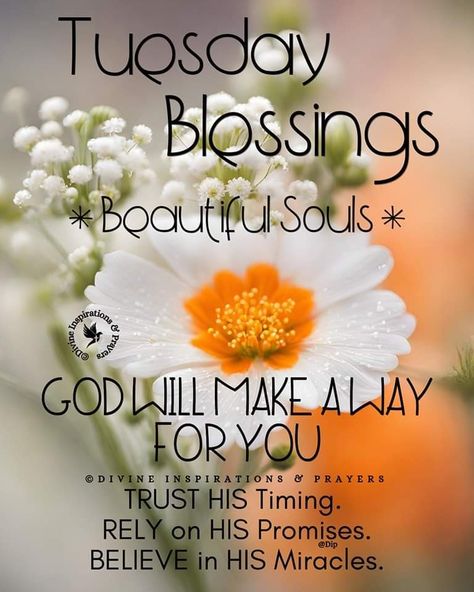 Blessed Tuesday Good Morning, Happy Blessed Tuesday, Good Morning Tuesday Blessings, Blessed Tuesday, Tuesday Blessings, Happy Tuesday Quotes, Good Morning Tuesday, Lost Quotes, Tuesday Quotes