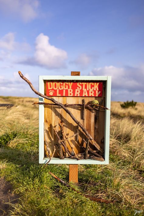 Dog Library Take A Stick Leave A Stick, Stick Library For Dogs, Dog Library, Doggy Daycare, Lending Library, Dog Playground, Dog Kennels, Senior Project, Dog Tips