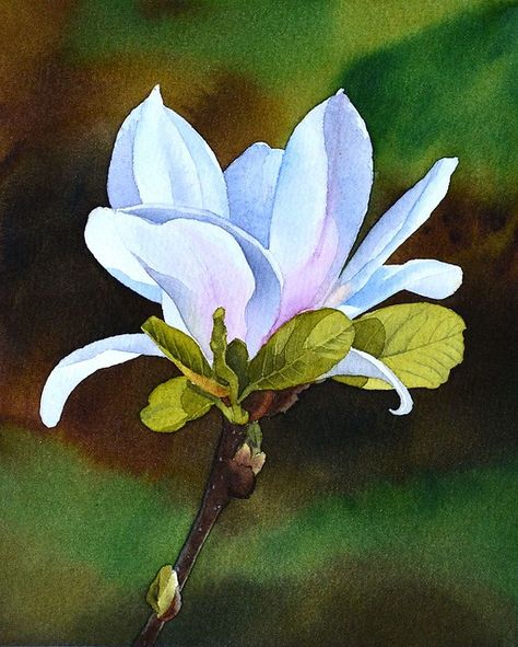 Watercolor Negative Painting, Watercolor Lessons, Watercolor Projects, Watercolor Flower Art, Watercolor Painting Techniques, 수채화 그림, Flower Art Painting, Watercolor Inspiration, White Flower