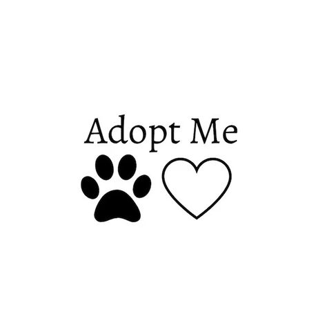 KZCozy - Etsy Pet Adoption Event, Sporty Dog, Dog Neckerchief, Puppy Accessories, Dog Things, Dog Grooming Business, Sloth Lovers, Dog Svg, Pet Scarf