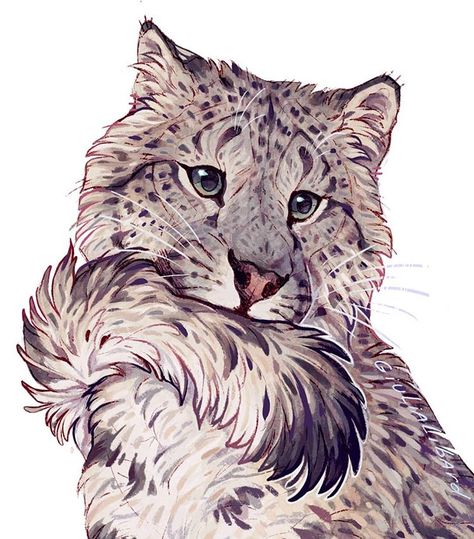 Snow leopard . . . #snowleopard #leopard #cat #cats #animals #animalart #snow Snow Leopard, A Drawing, A Cat, On Instagram, Blue, Instagram, Art