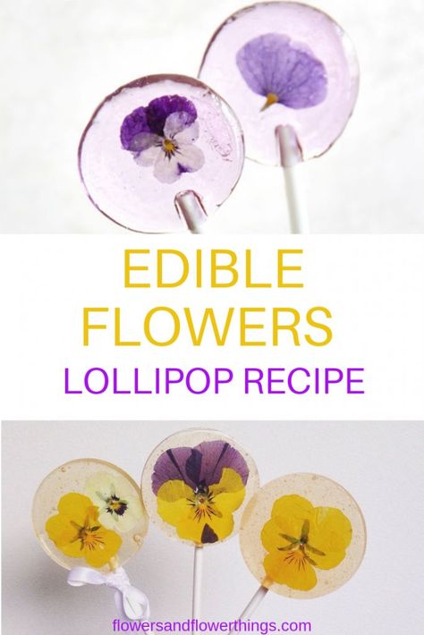 Homemade Suckers Recipes, Floral Lollipops, Easy Lollipop Recipe, Homemade Suckers, Suckers Lollipops, Flower Lollipops, Edible Flower Garden, Homemade Lollipops, Gourmet Lollipops