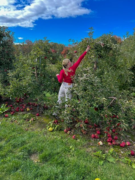 cute fall autumn photo pic photography inspiration aesthetic friends field Apple Picking Fall, Aesthetic Friends, Fall Photo, Inspiration Aesthetic, Apple Picking, Fall Photos, Photo Inspo, Fall Autumn, Picture Photo