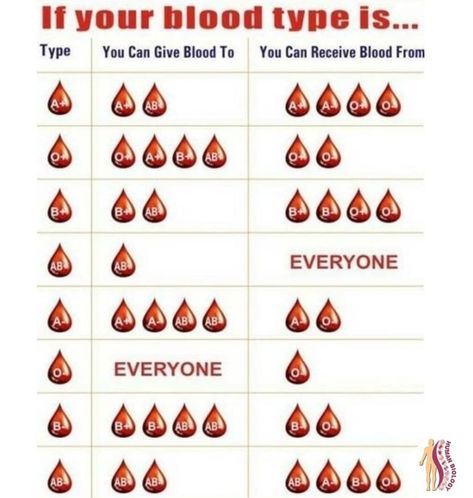 Blood Type Chart, Nursing School Survival, Blood Groups, Medical Facts, Nursing School Tips, Medical School Studying, Nursing School Notes, Human Anatomy And Physiology, Medical Anatomy