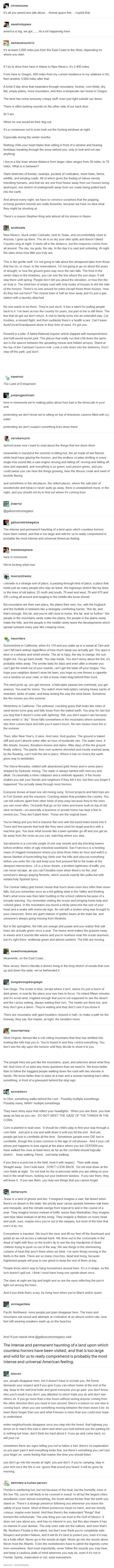 American Cryptids, Regional Gothic, Gothic Tumblr, Gothic Writing, Liminal Space, American Gothic, Story Prompts, State Of Florida, Read Later