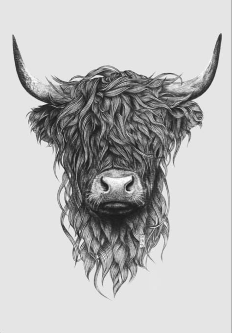 Highland Cow Tattoo, Cow Wall Decor, Cow Tattoo, Cow Art Print, Highland Cow Art, Bull Tattoos, Western Tattoos, Highland Cattle, Cow Head