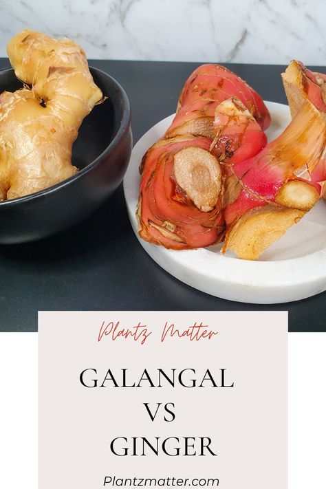 Galangal and ginger are often confused for one another but they are very different. Learn about galangal, what recipes it's used in and how to prepare and store it. Recipes With Galangal, Galangal Recipe, Roots Vegetables, Fresh Food Market, Recipe Example, Spicy Dishes, Stir Fries, Thai Food, Recipe For Mom