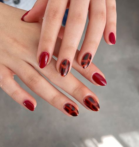 Tortoise shell features 🍷🐢🤎 cmp gel polishes used: 🖤eruption 🖤black caviar - - - #nails #nailart #naildesign #nailitdaily #tort #tortoiseshell #tortoiseshellnails #autumn #fallnails #fall #autumnnails #burgundynails #maroonnails #beauty #mani #manicure #salon #smallbusiness Tortoise Shell And Red Nails, Red And Tortoise Shell Nails, Turtle Shell Nails, Tortie Nails, Tortoiseshell Nails, Tortoise Nails, Tortoise Shell Nails, Shell Nails, Caviar Nails