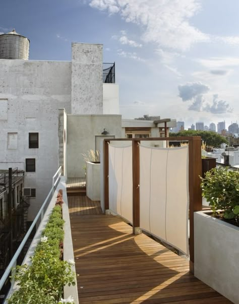 Gardenista: The canvas partitions were made by Mark Washam from Doyle Sailmakers in Long Island, using military grade surplus canvas. Pergola Vines, Simple Pergola, Diy Privacy Screen, Roof Garden Design, Deck Privacy, Rooftop Gardens, Garden Privacy, Garden Solutions, Front Yard Fence