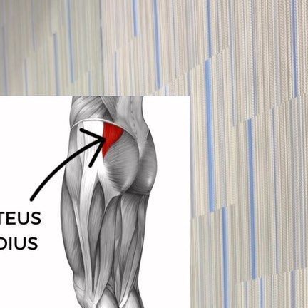 B R E A | fitness & lifestyle | CPT on Instagram: "Let’s dive into the glute medius and how banded hip thrusts can help you grow those flutes to new heights ❤️‍🔥 Understanding the Glute Medius: The glute medius is a key muscle located on the side of your buttocks. It plays a crucial role in stabilizing your pelvis and maintaining proper hip alignment. This muscle is responsible for that desirable “V” shape and contributes to the roundness and lift in your glutes. Creating the “Glute Shelf” Ef Glute Medius And Minimus Exercises, Glute Shelf, Gluteus Medius Anatomy, Glute Bridges Vs Hip Thrusts, Targeting Different Glute Muscles, Gluteus Maximus Anatomy, Hip Alignment, Glute Medius, Hip Thrusts