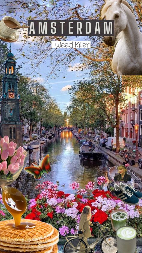 #amsterdam #travel Amsterdam Vision Board, Amsterdam Aesthetic Pictures, Amsterdam Collage Wallpaper, Netherlands Aesthetic, Amsterdam Landmarks, Amsterdam Trip, Amsterdam On Film, Travel Collage, Photos Poses