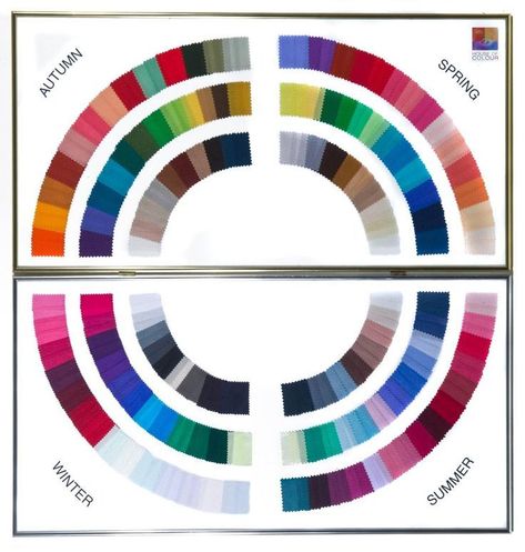 Astuces Diy, Seasonal Color Analysis, Color Me Beautiful, Deep Winter, Color Analysis, Colour Board, Winter Colors, Color Wheel, Color Of The Year