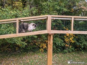 Catios for Small Spaces - Catio Spaces Catio For Cats, Portable Catio, Catio Plans, Cat Fence, Outdoor Cat Enclosure, Outdoor Cat, Cat Trees, Cat Enclosure, Cat Tunnel