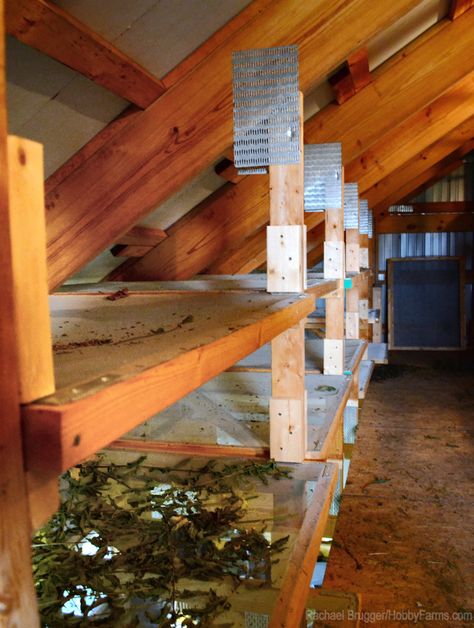 Outfit Your Barn with an Herb-Drying Station - Photo by Rachael Brugger (HobbyFarms.com) Herb Drying Station, Herb Drying Shed, Herb Drying Room, Herbal Business, Growing Fruits And Vegetables, Horticulture Therapy, Herb Drying, Station Photo, Raising Farm Animals