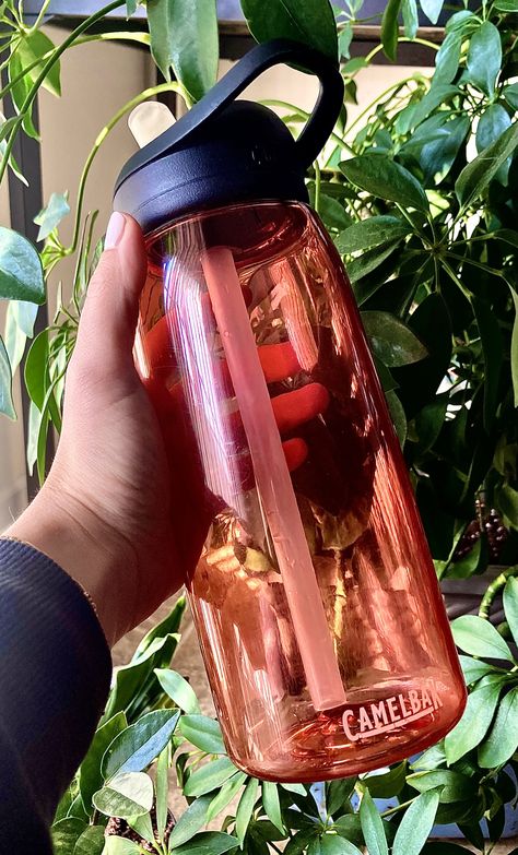 A water bottle is one of the best gifts for an adventurer. The Camelbak Eddy is convenient and only needs one refill to provide a half gallon of hydration. #ad #affiliate Camelbak Water Bottle, Camping Gift Ideas, Desert Sunrise, Water Per Day, Hiking And Camping, Hunter Gatherer, Gallon Of Water, Drink More Water, Health Knowledge