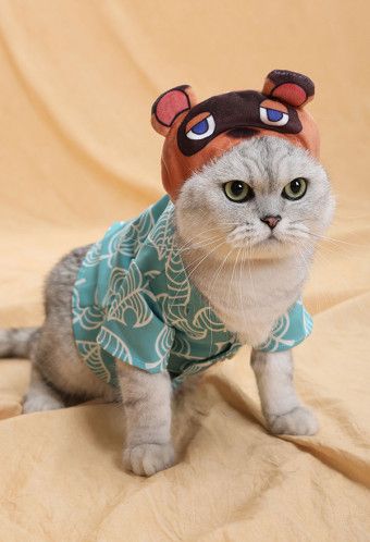 Animal Crossing Tom Nook Tanukichi Raccoon Dog Pets Photo Prop Cosplay Costume T-shirt Clothing and Hooded Hat for Cats and Dogs Animal Crossing Tom Nook, Hooded Hat, Tom Nook, Costumes Wigs, Raccoon Dog, Dog Pets, Costumes For Sale, T Shirt Costumes, Pet Costumes