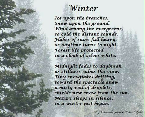 "Winter" - an original poem about winter, nature, and snow by Pamela Joyce Randolph  (Arizona Poet Lady) Forest Poems, December Poems, Snow Poems, About Winter Season, Pin Ornaments, Gothic Winter, Winter Poetry, Winter Poems, Beautiful Poems