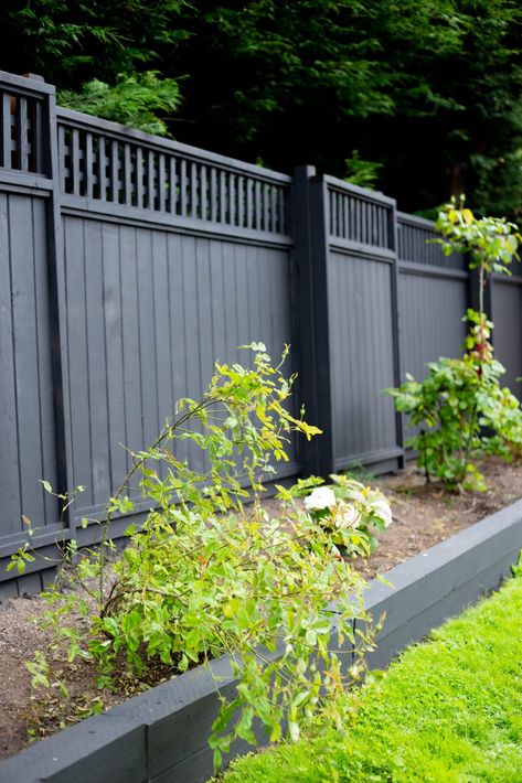 black wood cedar fence. Black Wood Fence Reveal • Black Stain on a Wood Fence, before and after! Black stain on a wood fence is the perfect mix of modern and classic home style. Black Stained Wood Fence, Black Cedar Fence, Black Fence Stain, Dark Fence Stain, Black Painted Fence, Stained Privacy Fence, Black Stained Fence, Stained Fence Ideas, Black Wooden Fence